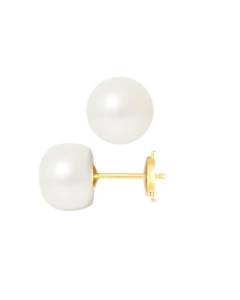 PERLINEA - Boucles d'Oreilles - Véritables Perles de Culture d'Eau Douce Boutons 9-10 mm Blanc Naturel - Or Jaune - Bijoux Femme