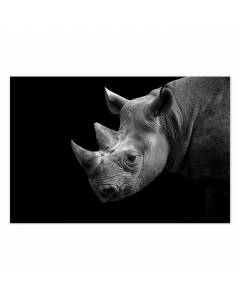 Affiche Portrait de rhino - 60x40cm - made in France