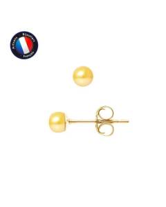 PERLINEA - Boucles d'Oreilles - Véritables Perles de Culture d'Eau Douce Boutons 4-5 mm Gold - Bijoux Femme - Or Jaune