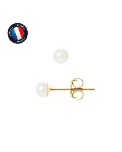 PERLINEA - Boucles d'Oreilles - Véritables Perles de Culture d'Eau Douce Boutons 4-5 mm Blanc Naturel - Or Jaune - Bijoux Femme