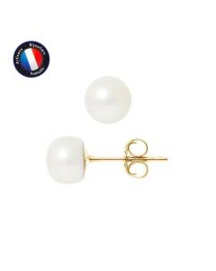 PERLINEA - Boucles d'Oreilles - Véritables Perles de Culture d'Eau Douce Boutons 7-8 mm Blanc Naturel - Or Jaune - Bijoux Femme