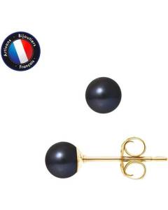 PERLINEA - Boucles d'Oreilles - Véritables Perles de Culture d'Eau Douce Rondes 5-6 mm Black Tahiti - Or Jaune - Bijoux Femme