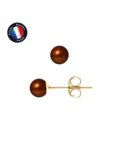 PERLINEA - Boucles d'Oreilles - Véritables Perles de Culture d'Eau Douce Rondes 5-6 mm Chocolat - Or Jaune - Bijoux Femme