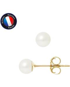 PERLINEA - Boucles d'Oreilles - Véritables Perles de Culture d'Eau Douce Rondes 5-6 mm Blanc Naturel - Or Jaune - Bijoux Femme