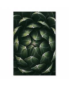 Affiche Coeur de cactus - 40x60cm - made in France