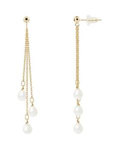 PERLINEA - Boucles d'Oreilles - Véritables Perles de Culture d'Eau Douce Poires 5-6 mm Blanc Naturel - Or Jaune - Bijoux Femme