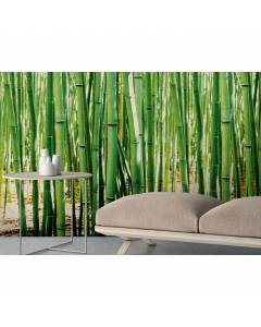 HXA DECO - Papier Peint Intissé, Zen, Décoration Murale, les Bambous - rouleau rouleau 0,53x8,4 m