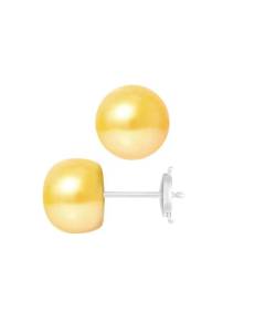 PERLINEA - Boucles d'Oreilles - Véritables Perles de Culture d'Eau Douce Boutons 9-10 mm Gold - Or Blanc - Bijoux Femme