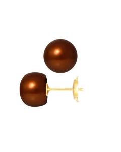 PERLINEA - Boucles d'Oreilles - Véritables Perles de Culture d'Eau Douce Boutons 9-10 mm Chocolat - Or Jaune - Bijoux Femme