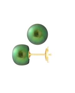 PERLINEA - Boucles d'Oreilles - Véritables Perles de Culture d'Eau Douce Boutons 9-10 mm Vert Intense - Or Jaune - Bijoux Femme