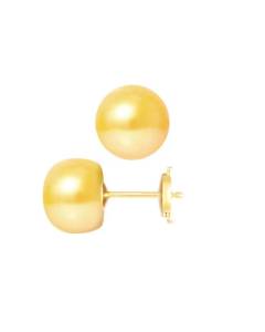 PERLINEA - Boucles d'Oreilles - Véritables Perles de Culture d'Eau Douce Boutons 9-10 mm Gold - Or Jaune - Bijoux Femme