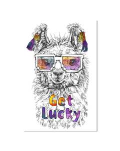 Affiche lama get lucky - 40x60cm - made in France