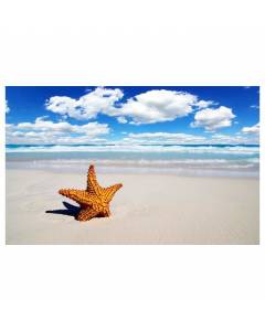 Affiche cliché de plage et son étoile - 60x40cm - made in France