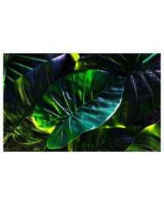 Affiche feuilles tropicales, 60x40cm - made in France