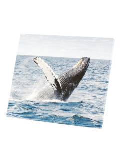 Tableau Décoratif  Baleine A Bosse Ocean (35 cm x 30 cm) (35 x 30 cm)