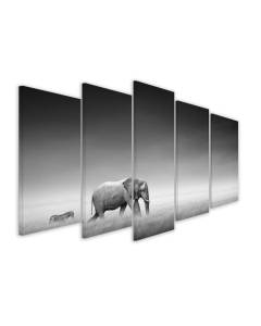 HXA DECO - Impression sur Toile, Decoration Murale Tableau Contemporain, Tableau 5 parties Animaux Elephant suivi - 150x80 cm